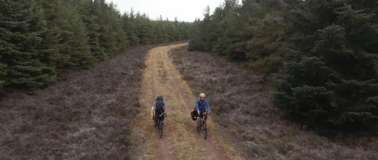 Two riders on a track through dense forestry